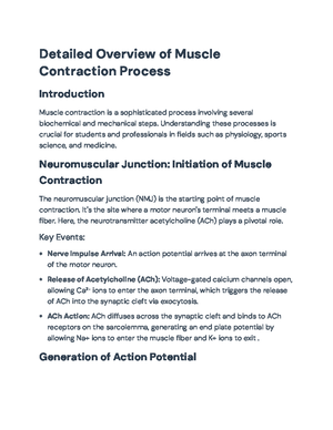 Comprehensive Guide to Muscle Tissue: Structure, Function, and ...