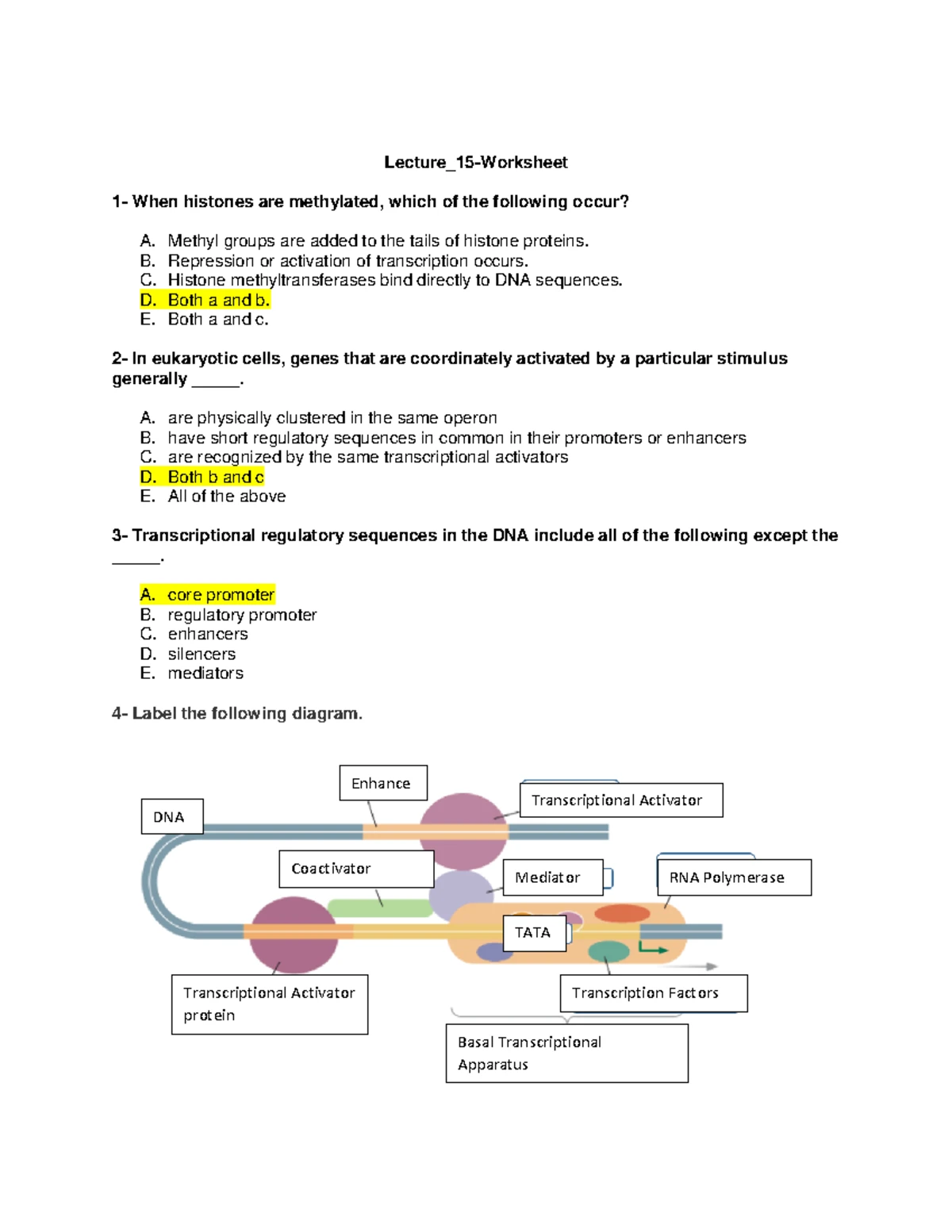 Genetics Chapter 15 Notes - CHAPTER 15- THE GENETIC CODE AND ...