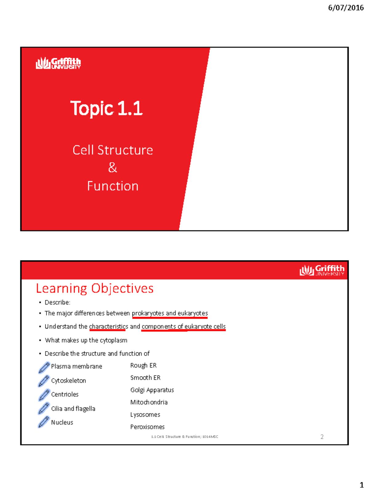 Final Exam: 1.1 Cell Structure & Function; 1014MSC Study Notes - Studocu
