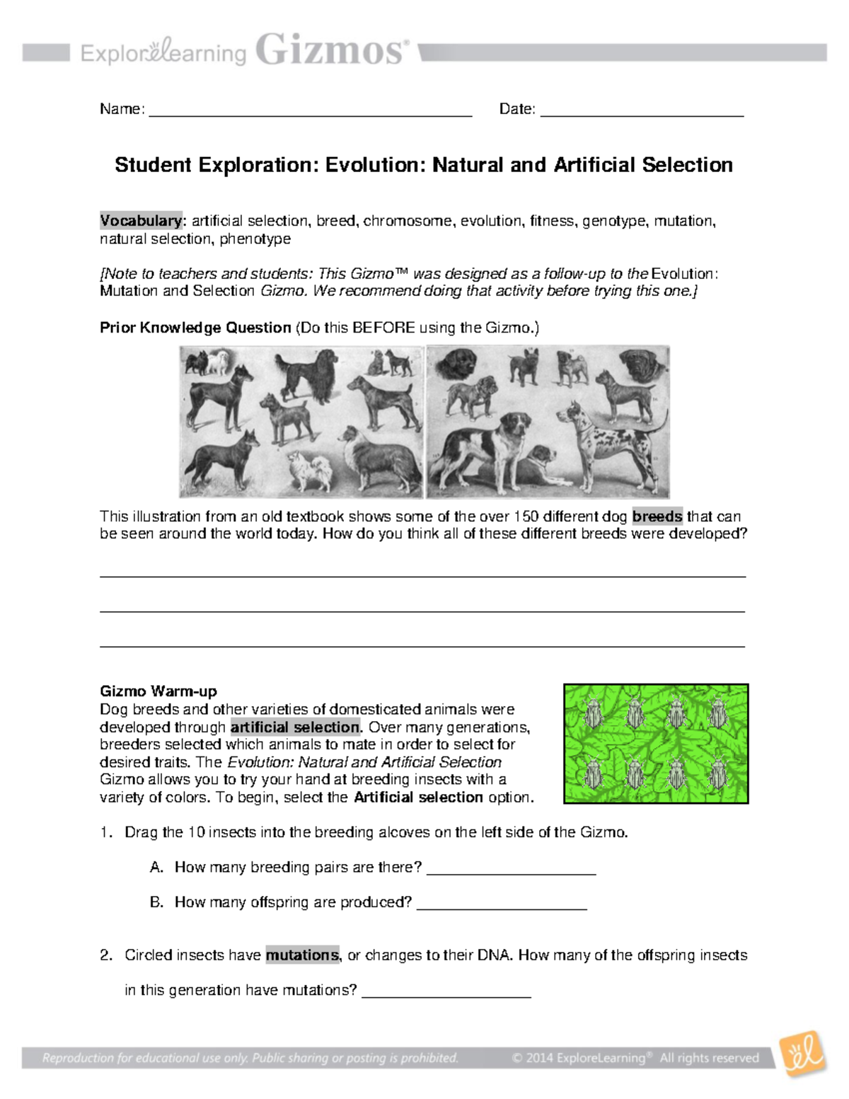Evolution: Natural and Artificial Selection SE Guide - Studocu