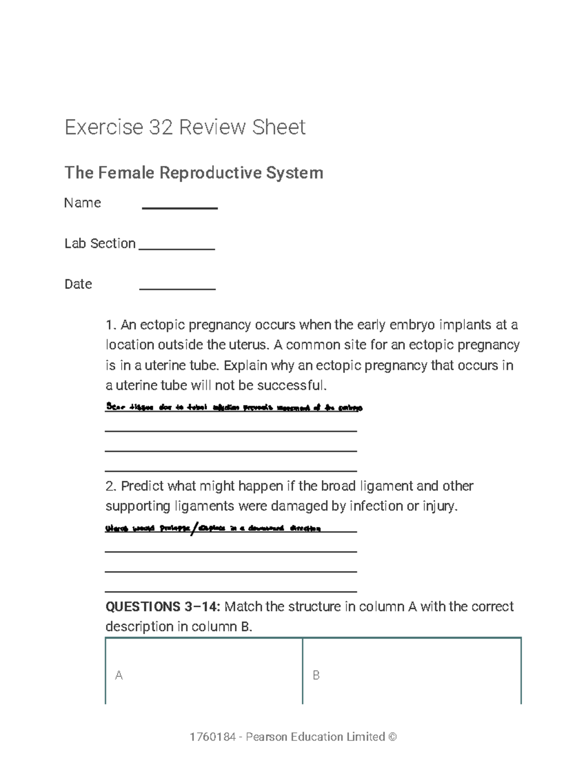 Chapter 32 - Lab Assignment on the Female Reproductive System - Studocu
