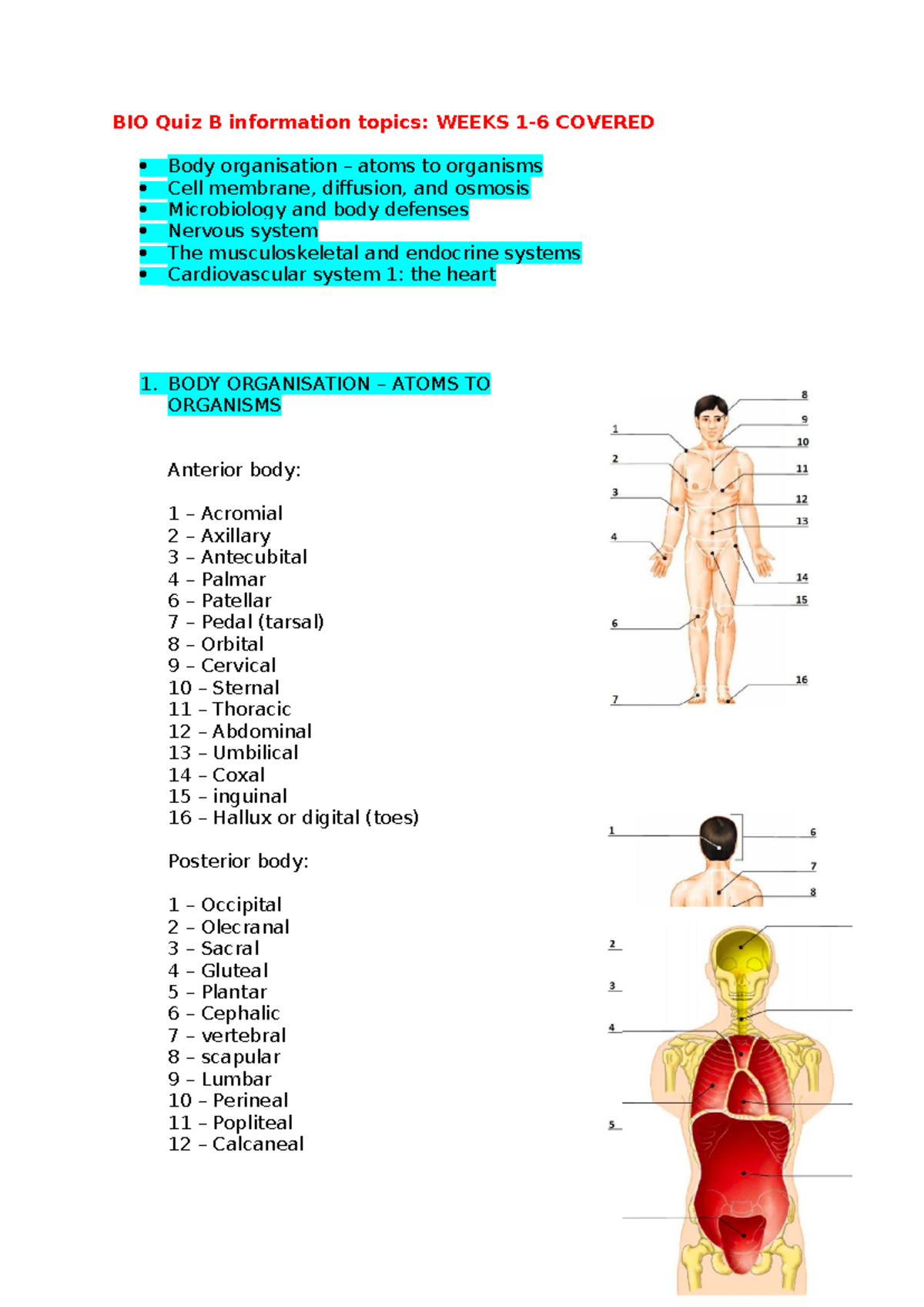 BIOL121 lecture notes wks 1-6 - BIO Quiz B information topics: WEEKS 1 ...