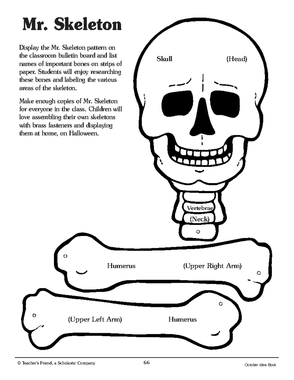 Mr. Skeleton Activity for SCIENCE Class: Bone Labeling Fun - Studocu
