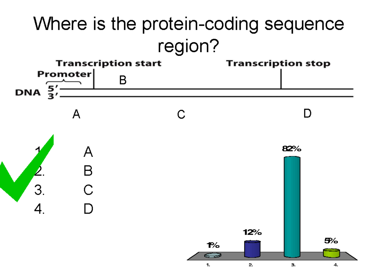 BIOL 3200_Chpt.11 Protein Translation and Genetic Code Insights - Studocu