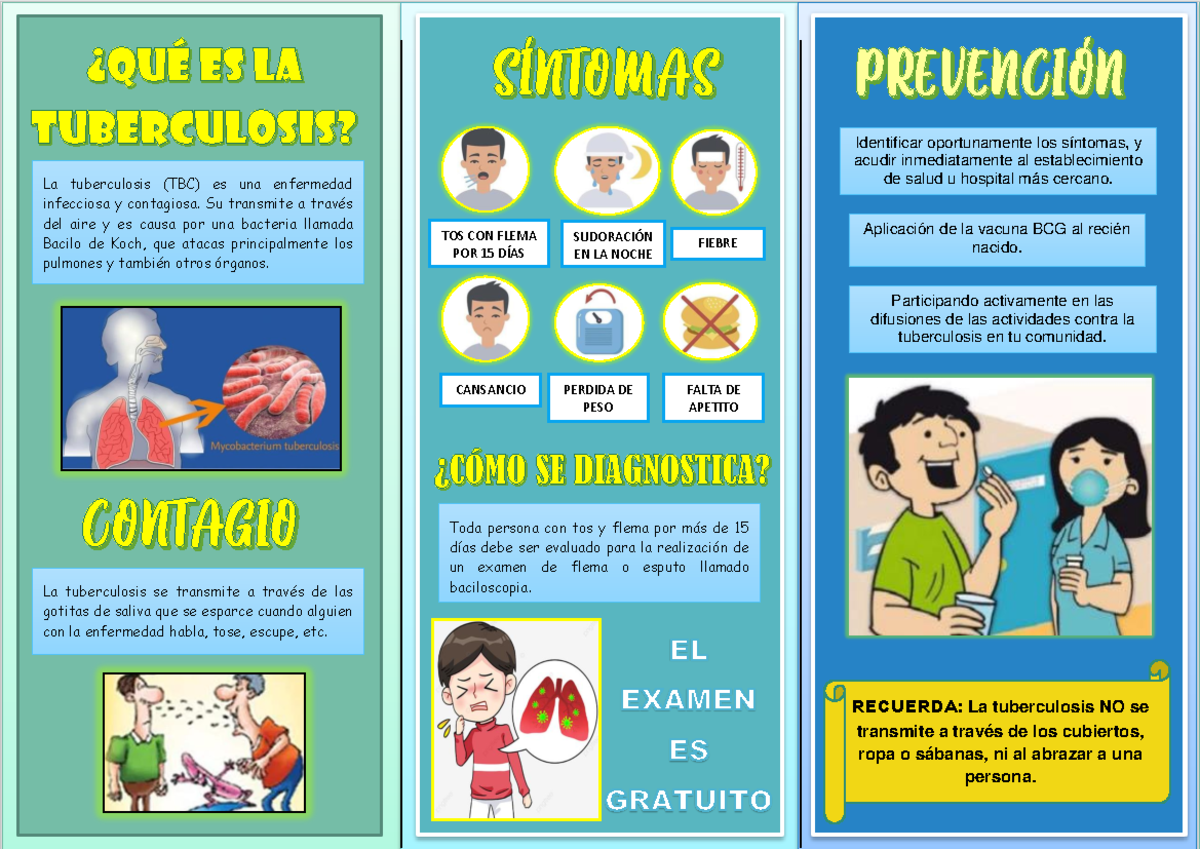 Triptico TBC: Prevención y Síntomas de Tuberculosis - Document Preview