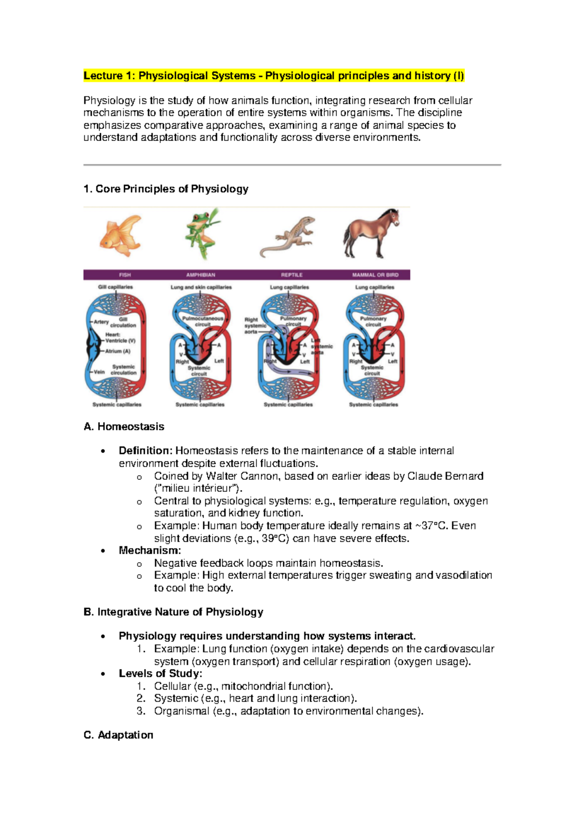 Lecture 1 animal physiology ivan - Lecture 1: Physiological Systems ...