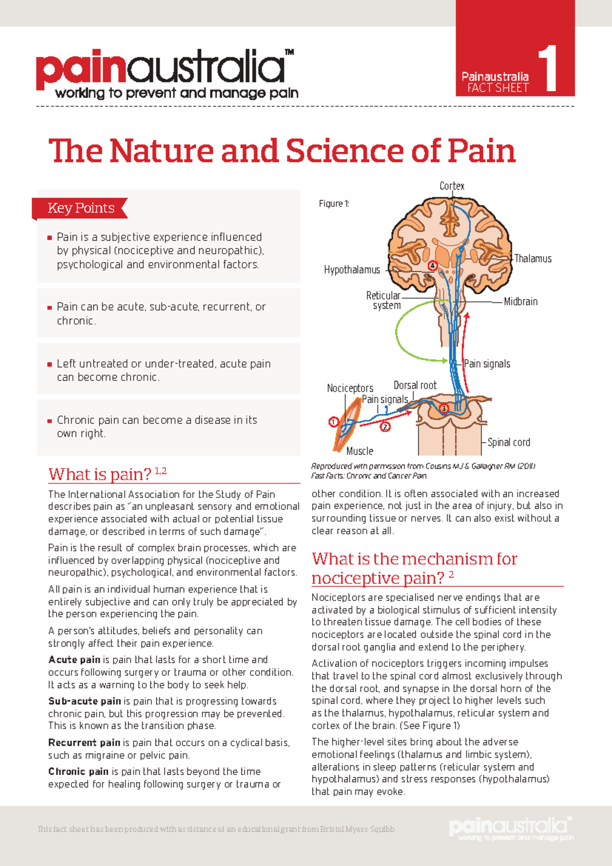 Painaustralia Fact Sheet: Understanding Pain Mechanisms and Types - Studocu