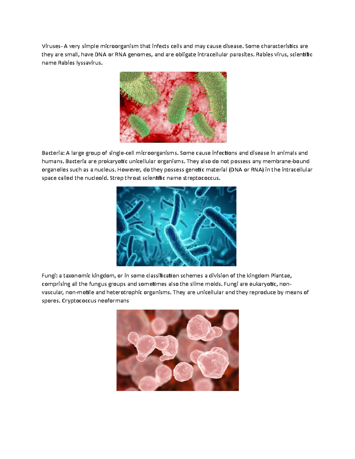 Microorganisms Overview: Viruses, Bacteria, Fungi, and Protozoa - Studocu