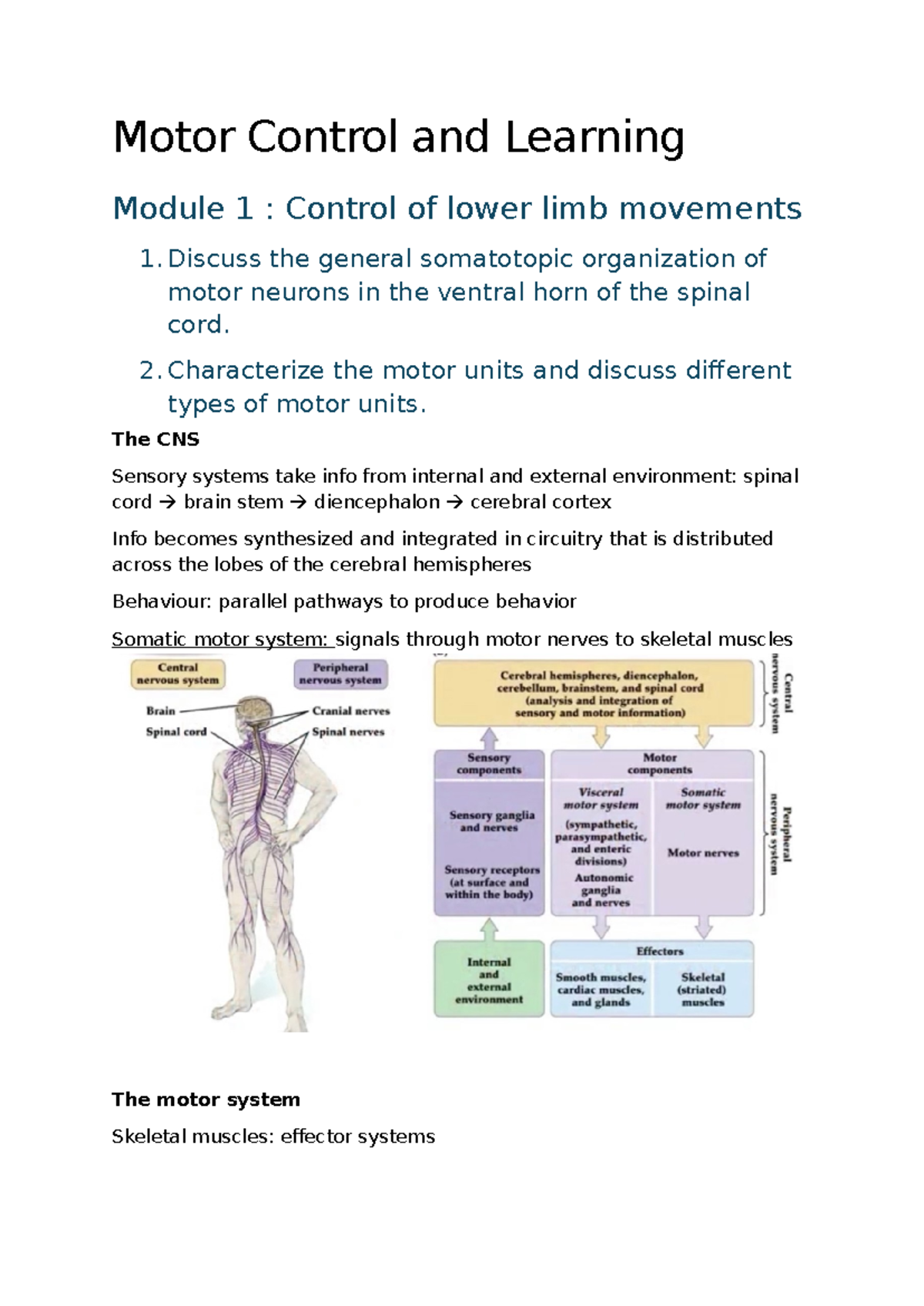 Motor Control and Learning SV - Motor Control and Learning Module 1 ...