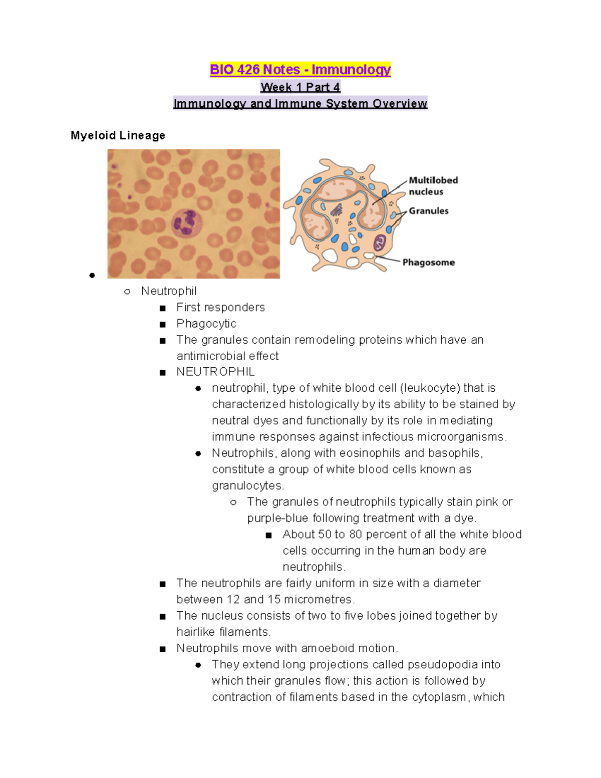 BIO 426 Week 1 Lecture Notes Part 4 - BIO 426 Notes - Immunology Week 1 ...