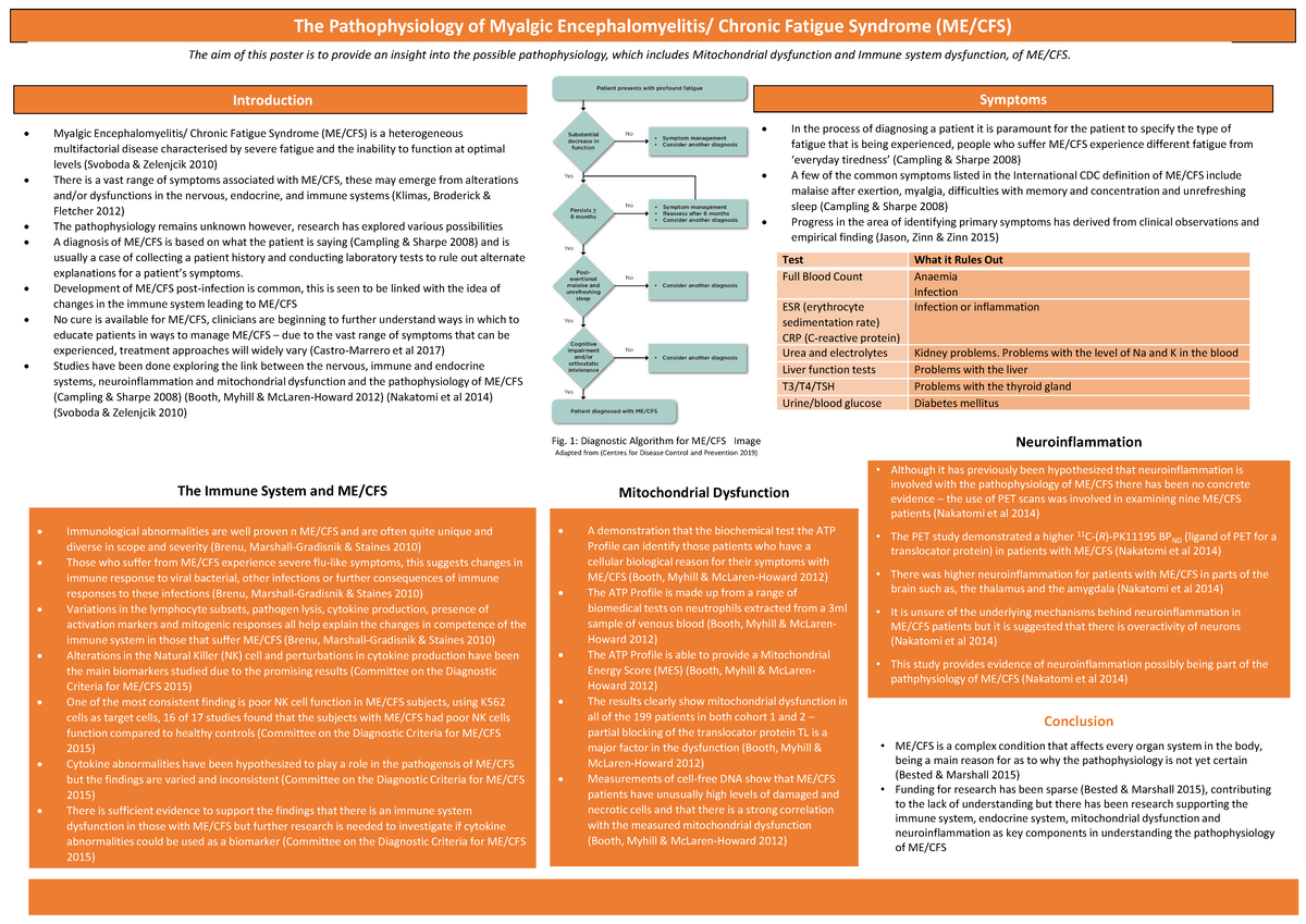 Poster 22: Exploring the Pathophysiology of ME/CFS - Key Mechanisms and ...