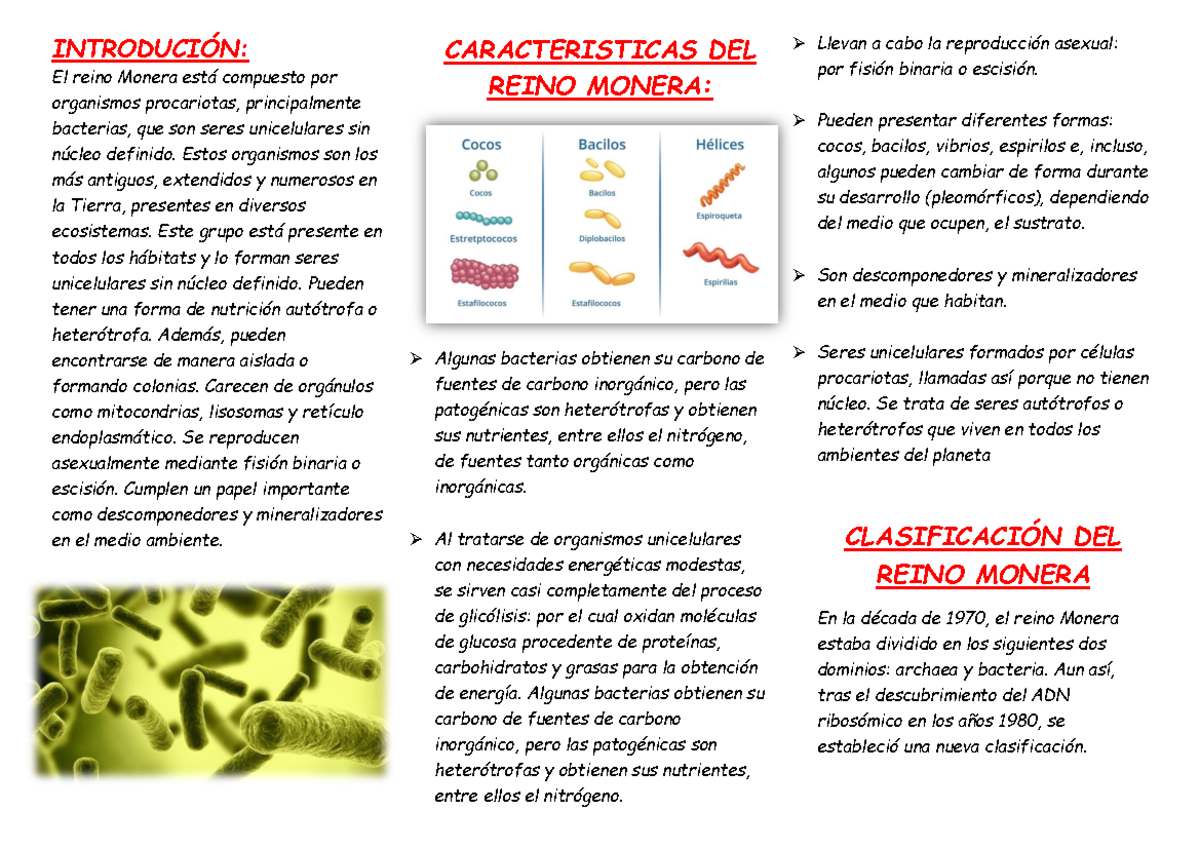 Reino Monera - Resumen e Historia de Organismos Procariotas - Studocu
