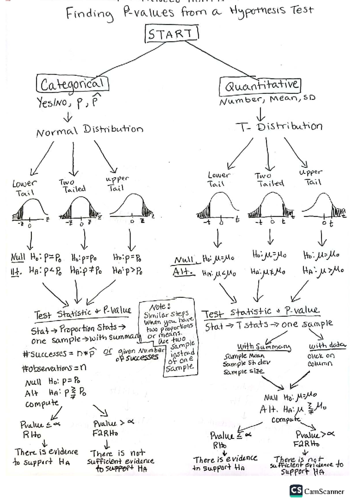 Finding p-values from a Hypothesis Test: Categorical & Quantitative ...