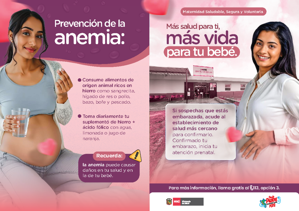 Díptico - Maternidad Saludable: Prevención de la Anemia - Document Preview