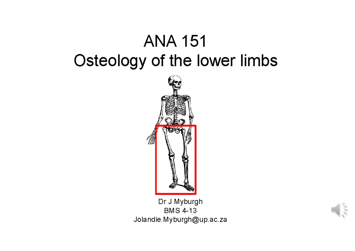 ANA122 Lower Limb and Foot Anatomy Worksheet - Studocu