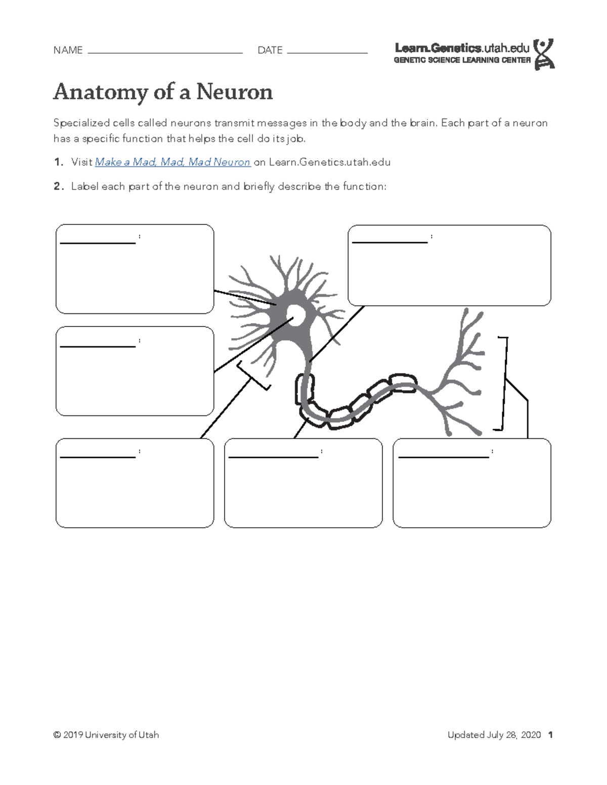 Anatomy-of-a-Neuron 2025 - BIOL 100L - © 2019 University of Utah ...
