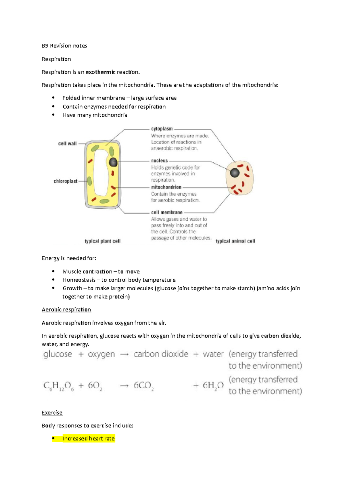 B9 GCES Biology: Revision Notes on Respiration and Exercise - Studocu