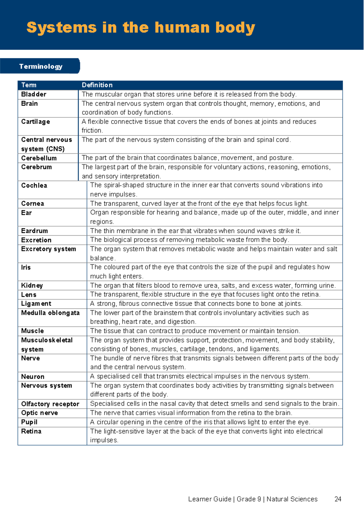 2026 NS Gr9 Body Systems: Terminology & Notes Guide - Studocu