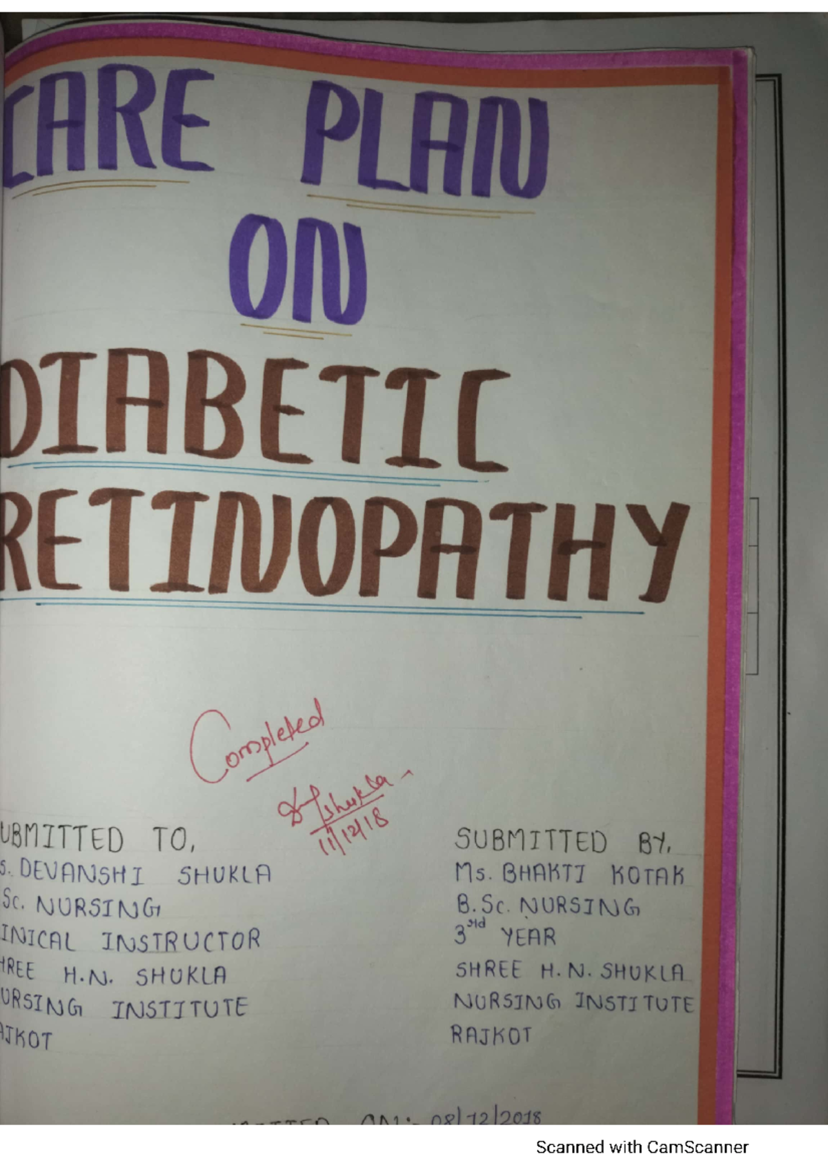 MSN 3rd Year Care Plan: Diabetic Retinopathy Case Study - Document Preview