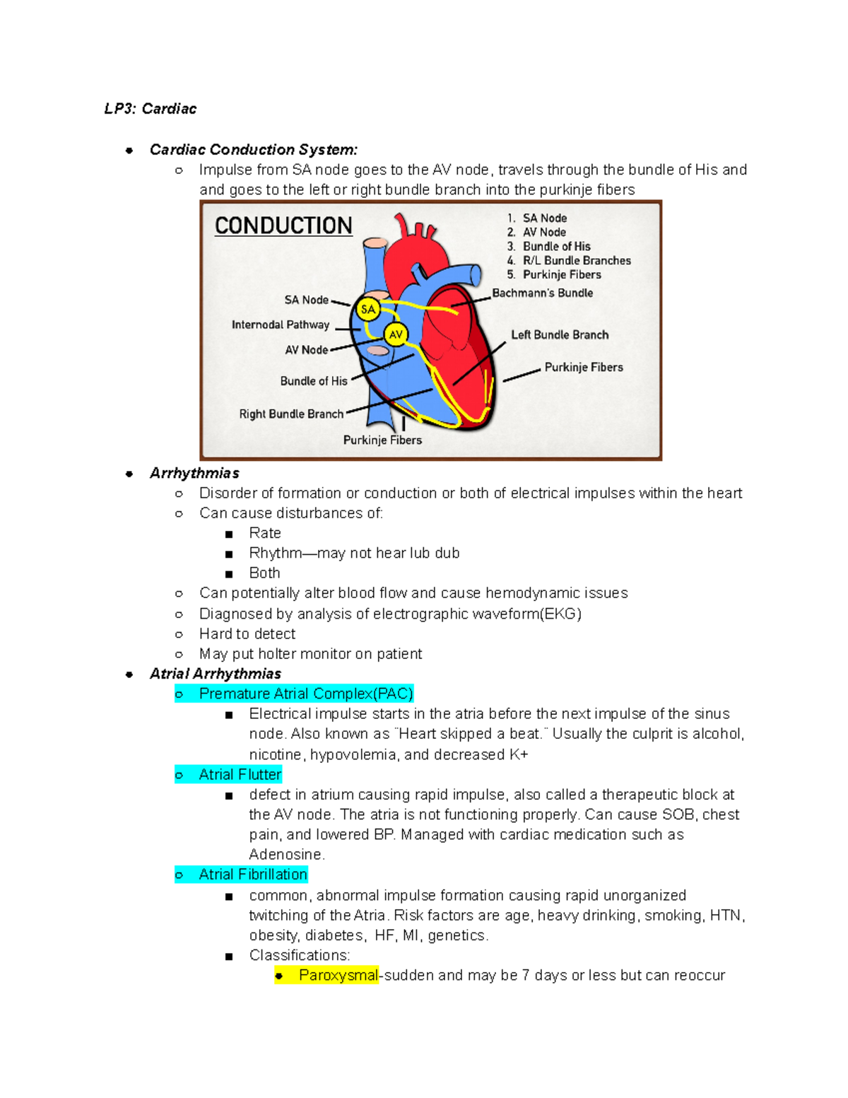 Exam 2 LP3 - cardiac notes - LP3: Cardiac Cardiac Conduction System ...