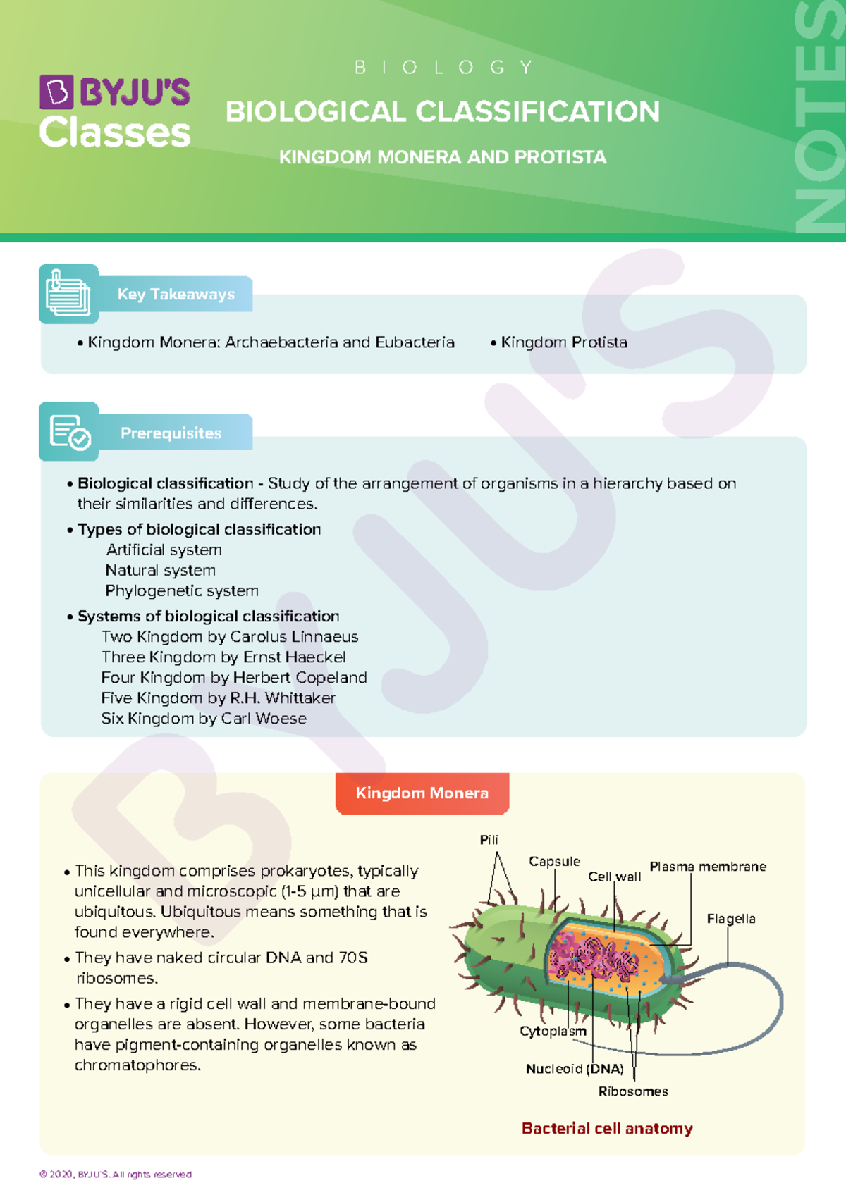 BIO 101: Key Takeaways on Kingdom Monera and Protista - Studocu