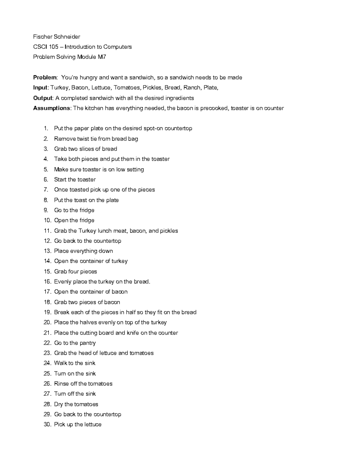 CSCI 105 – Algorithm Worksheet: Making a Perfect Sandwich - Studocu