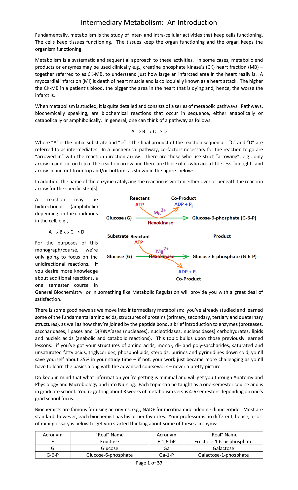 Intermediary Metabolism: An Introductory Overview for BIO 101 - Studocu