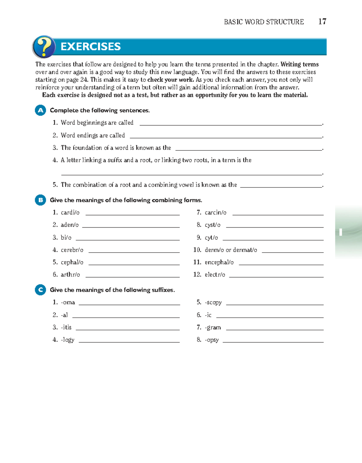 BASIC WORD STRUCTURE: Chapter 1 Exercises and Answers - Studocu