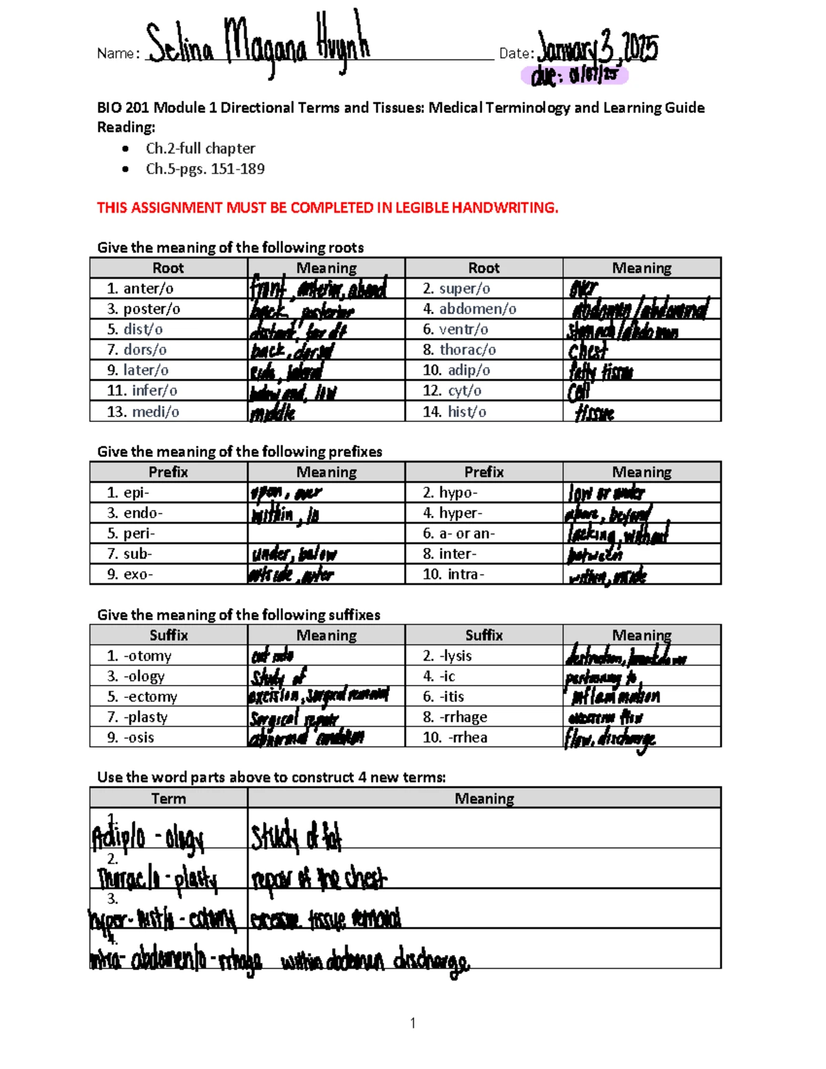Module 4 Learning Guide: Respiratory System Terminology & Concepts (BIO ...