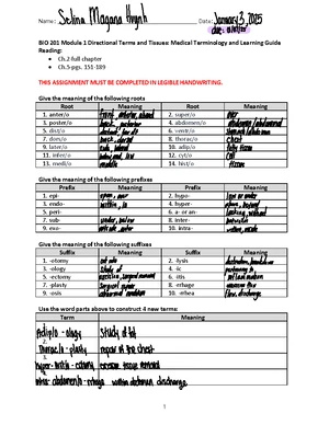 Module 4 Learning Guide: Respiratory System Terminology & Concepts (BIO ...