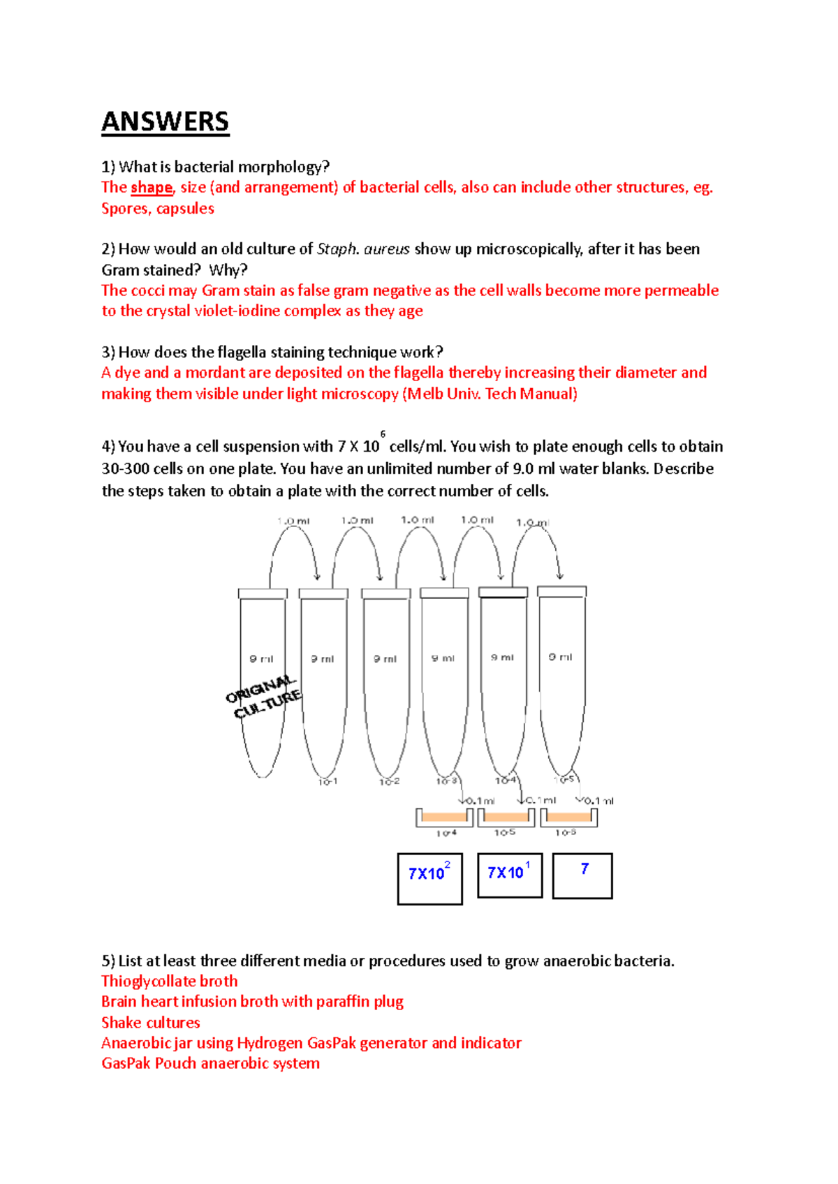Practical Test Revision - Answers for Microbiology (BIO 101) - Studocu