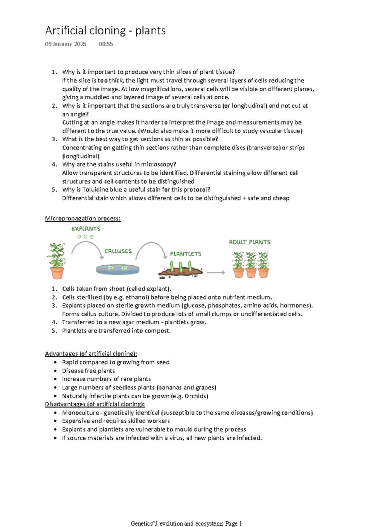 A Level Biology: Cloning Plants - Class Notes - Studocu
