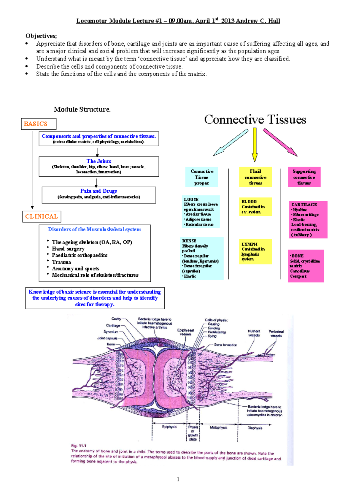 Locomotor Introduction Notes - Locomotor Module Lecture #1 – 09, April ...
