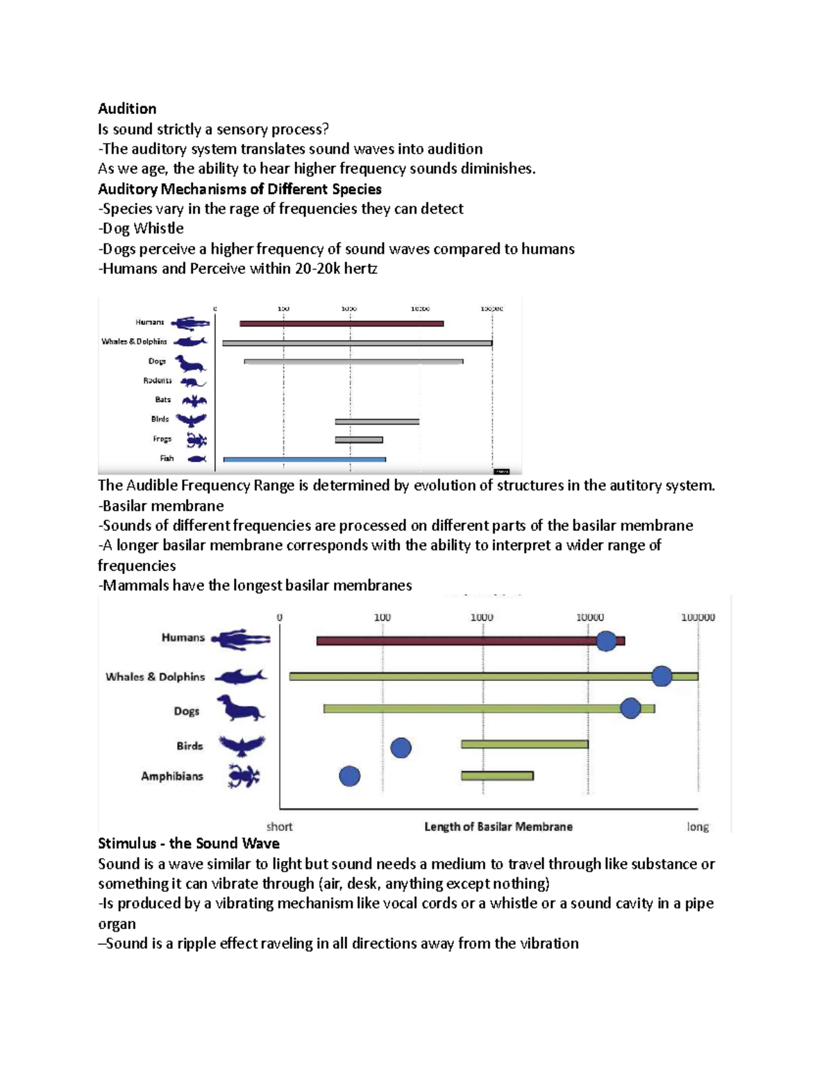Psych 1FF3 Midterm Study Notes: Auditory Mechanisms & Sound Perception ...
