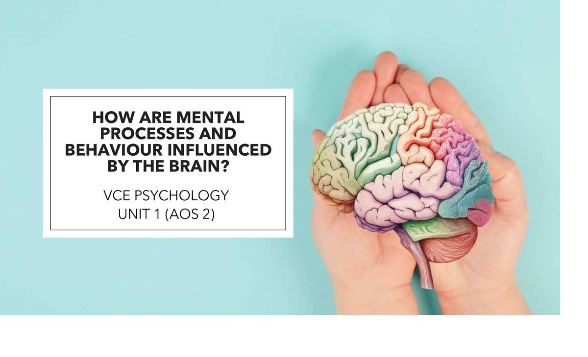 Unit 1 AOS 2 - The Brain's Influence on Mental Processes and Behavior ...