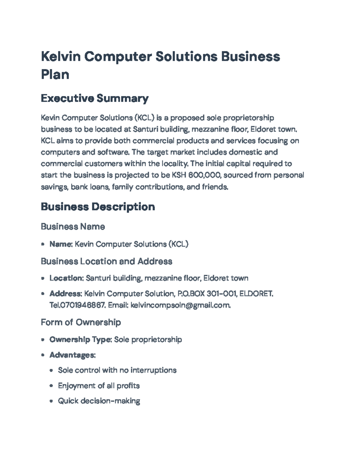 Kevin Computer Solutions Business Plan Overview: Strategies & Goals ...