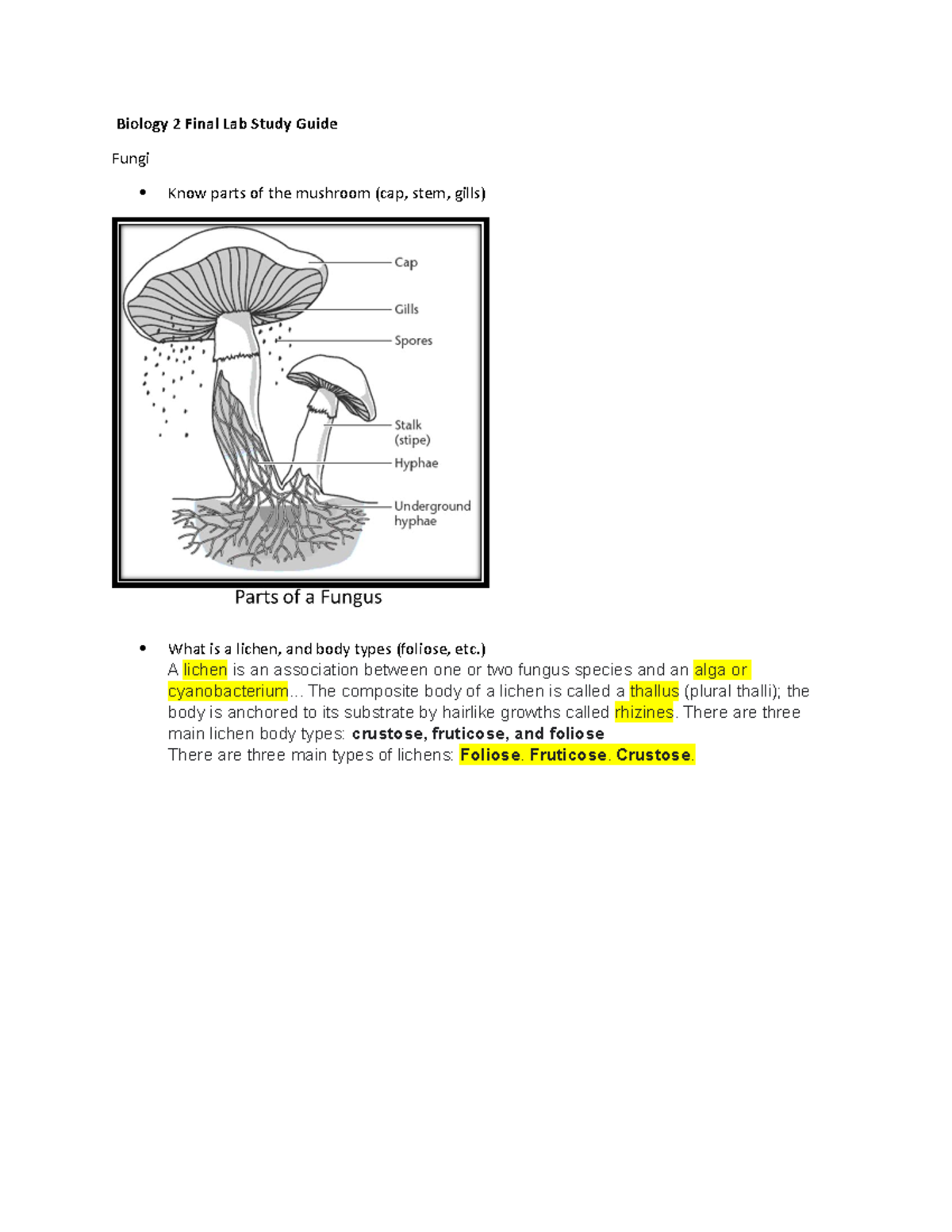 Biology 2 Final Lab Practical Study Guide on Fungi and Earthworms - Studocu