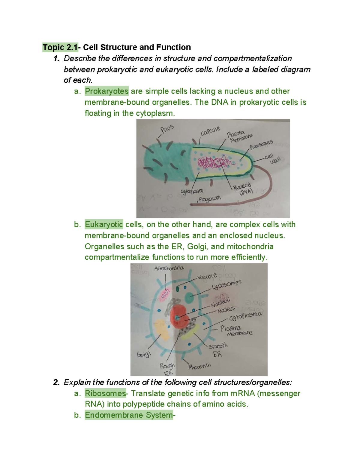 AP Bio - Unit 2 Study Guide: Cell Structure, Function & Evolution - Studocu