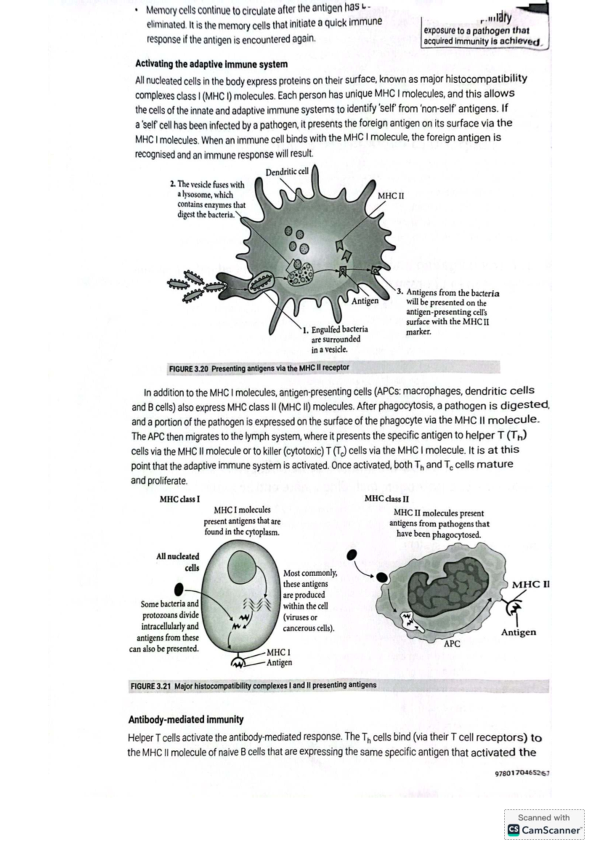 HSC Year 12 Biology Study Notes: Module 7 - Infectious Disease Insights ...