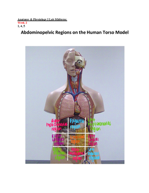 解剖学 1 Anatomy 1 BIOL2401 - Anatomy & Physiology I - Studocu
