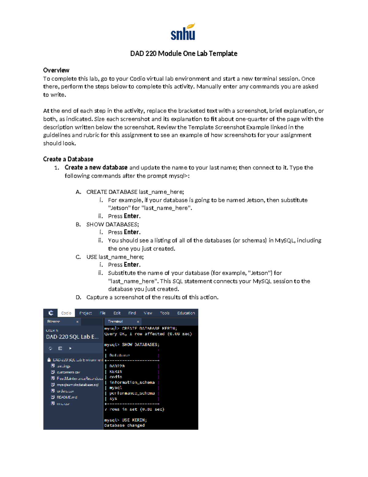 DAD 220 Module 1 Lab - CODIO Lab Instructions and Activity Guide - Studocu