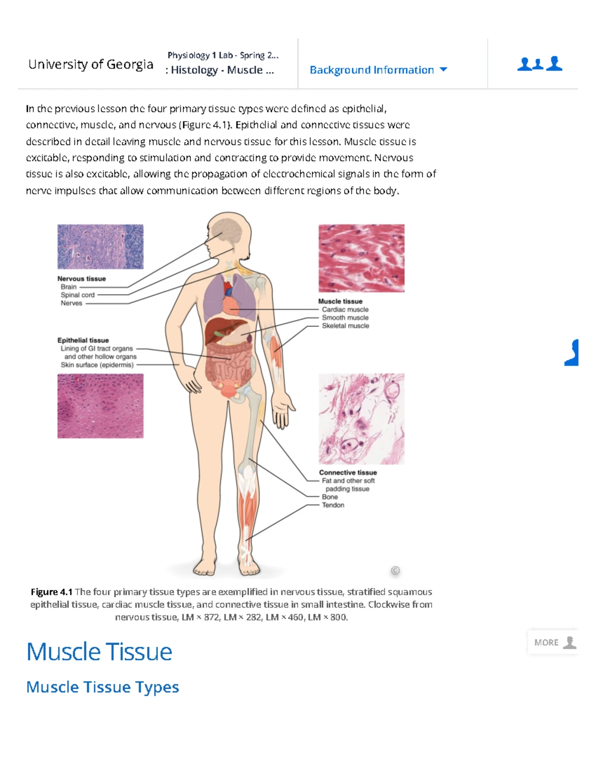 Anatomy & Physiology 1 Lab: Histology of Epithelial and Connective ...
