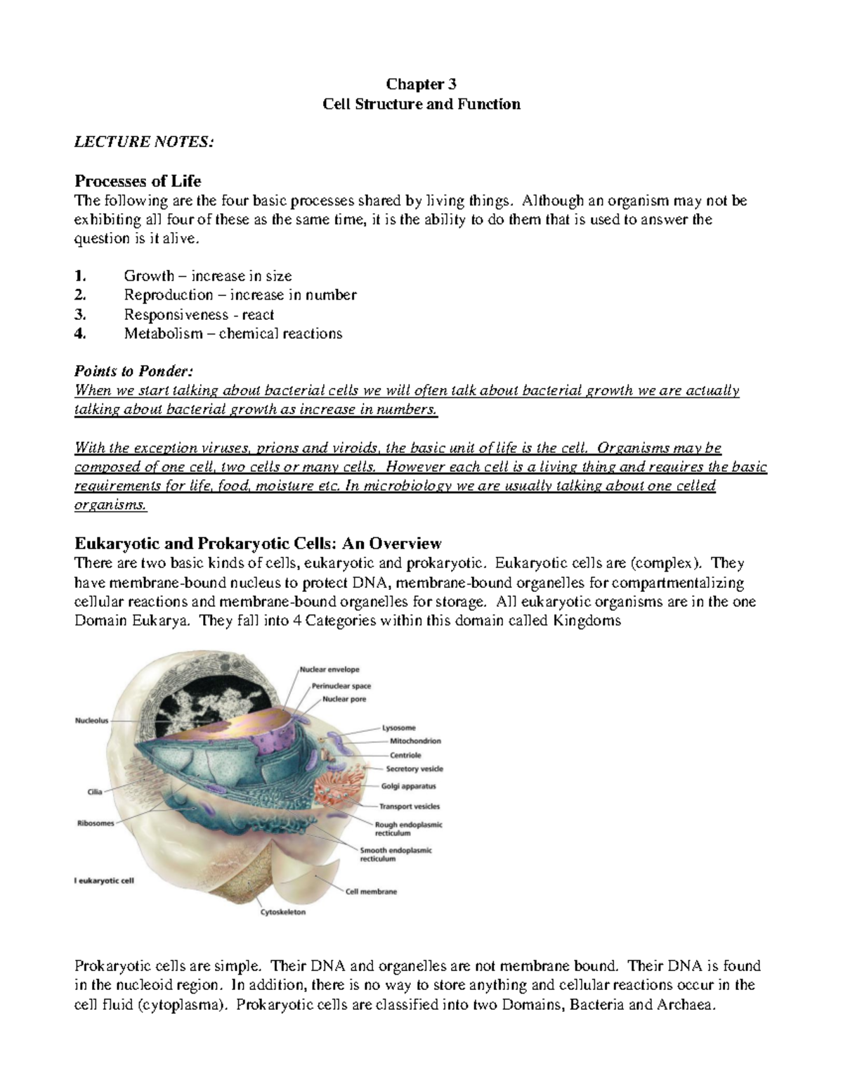 Chapter 3 Cell Structure and Function LECTURE NOTES: Processes of Life ...