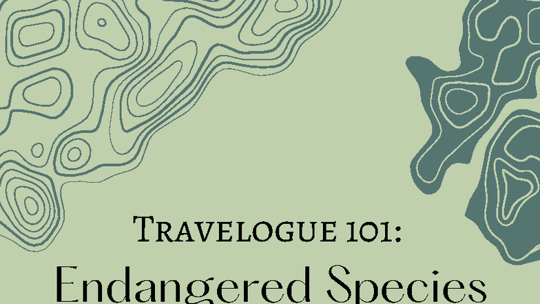 Travelogue 101: Endangered Species & Conservation Efforts - Studocu