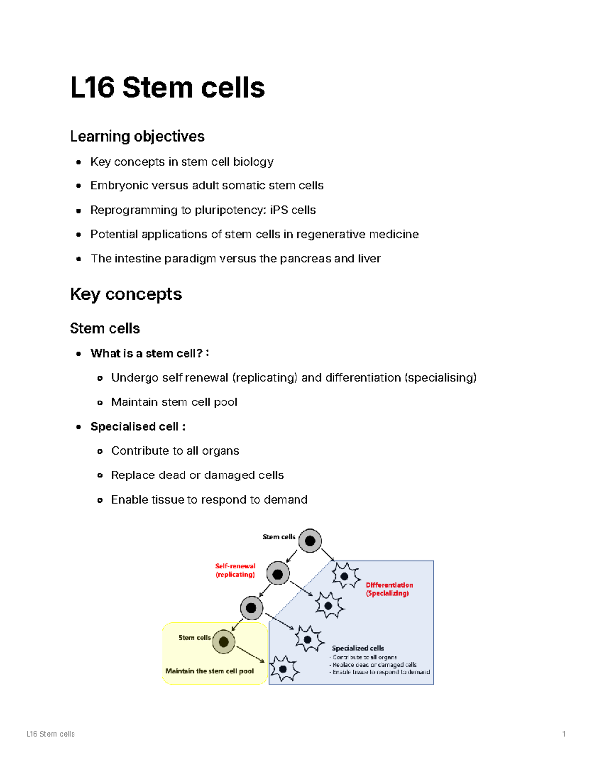 L16 Stem Cells - Key Concepts and Applications in Regenerative Medicine ...