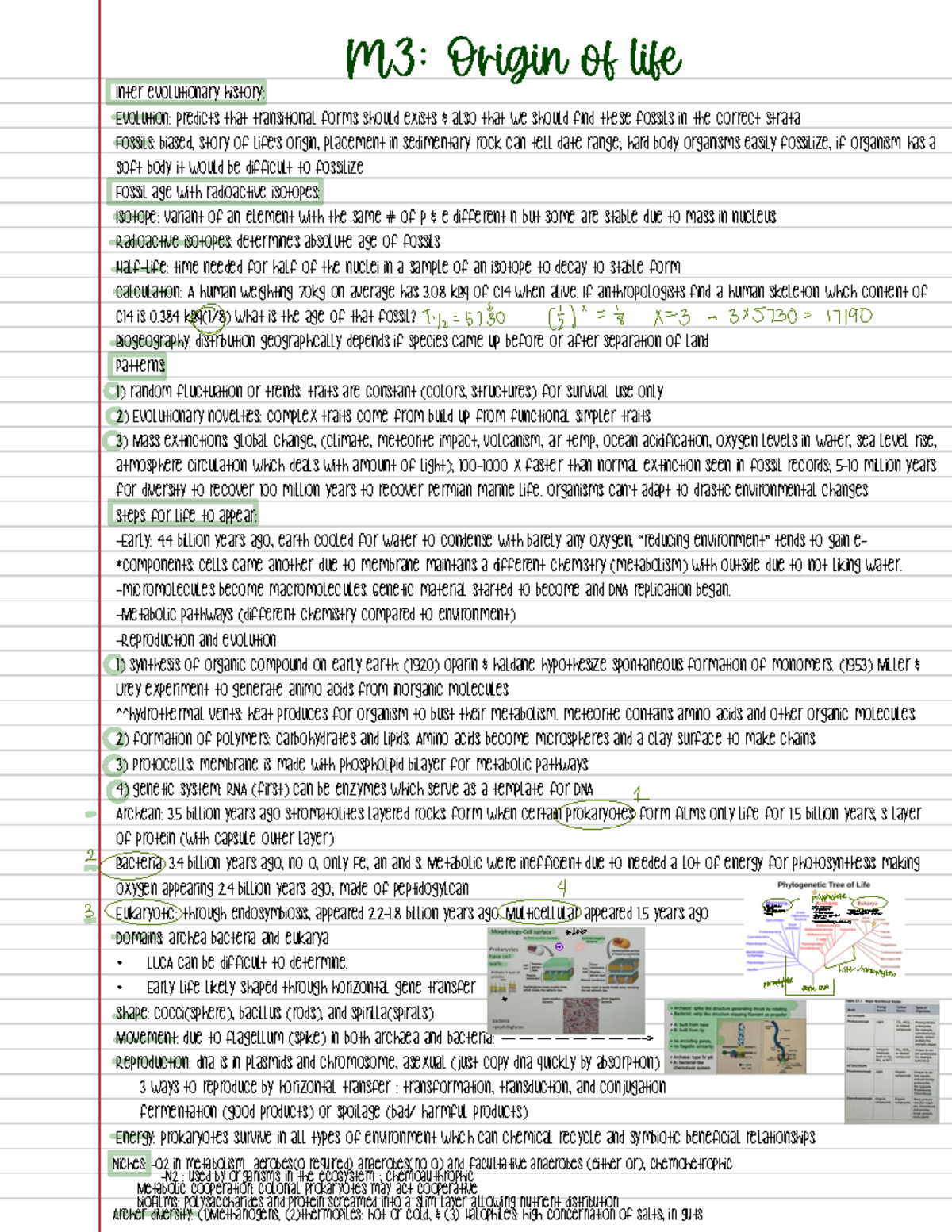 M3 - Bio 2 Lecture Notes: Origin of Life and Evolutionary History - Studocu