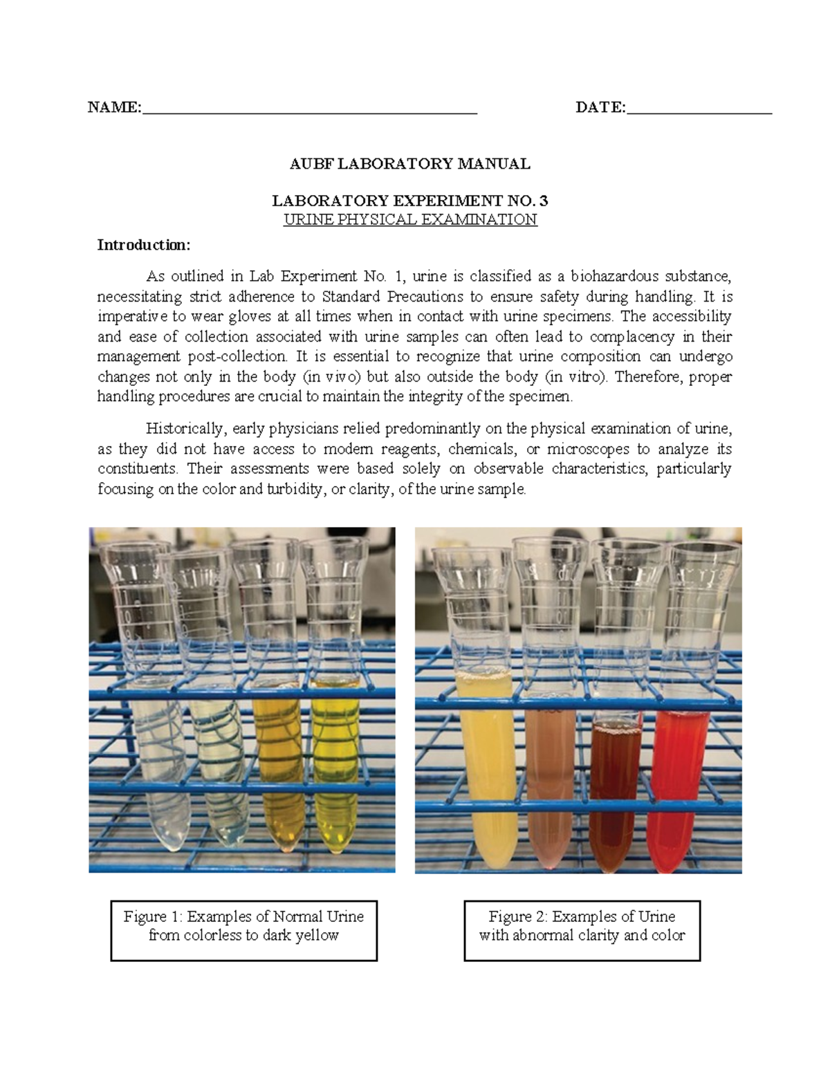 AUBF Lab Manual Ex3: Urine Physical Examination Techniques - Studocu