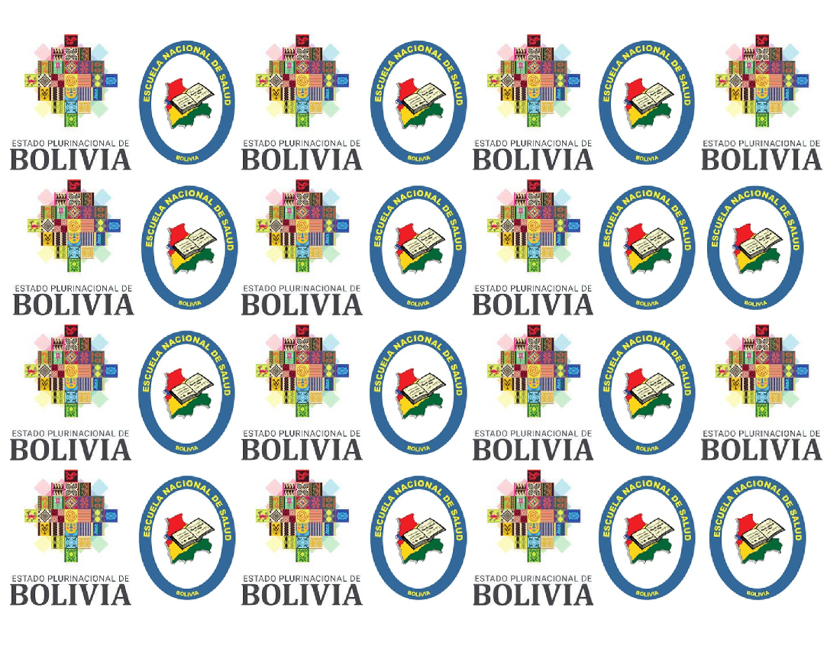 Logos E - An Overview of the Plurinational State of Bolivia - Studocu