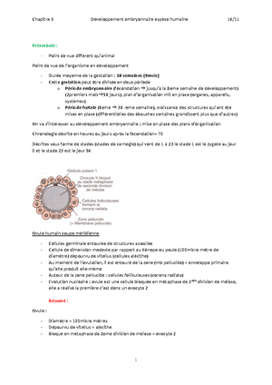 Modèle Embryonnaire Humain 8 Pièces - Développement Du Fœtus - Anatomie Pour étudiants Et Infirmières