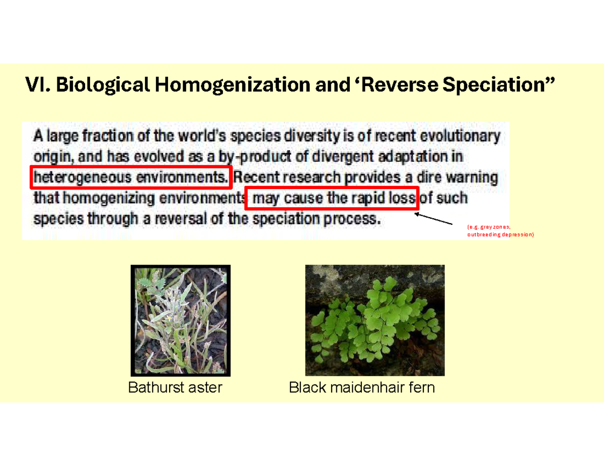 BIOL 3130 Lecture 10: Biological Homogenization & Speciation Insights ...